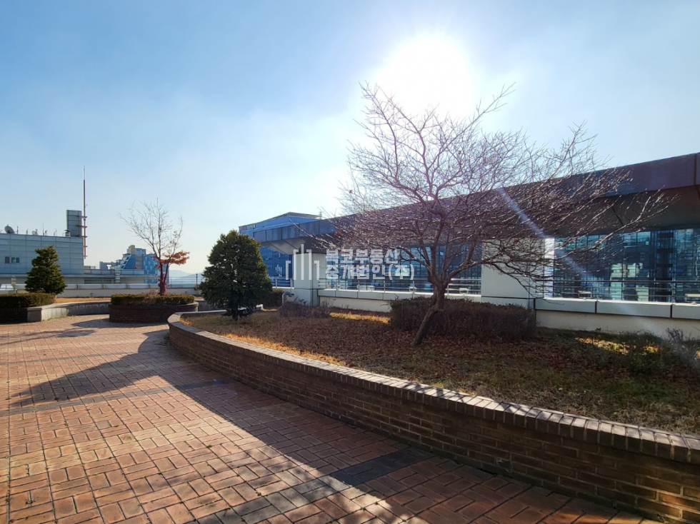 서울 금천구 가산동 429-1 뉴티캐슬, 가성비 좋은 사무실 월세 매물번호 10031 사진 6